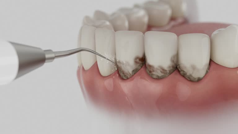 Reliable Dental contractor in West Carrollton, OH by Dentist Open Now